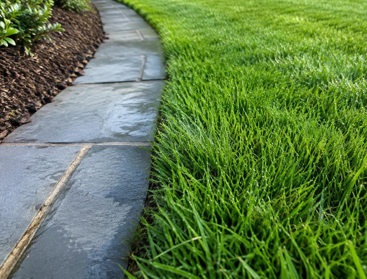 Crisp lawn edge along a bluestone walkway